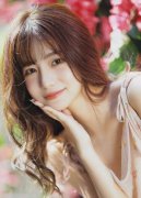 4美国版完整版虽然中国并未采纳集中清缴清欠税